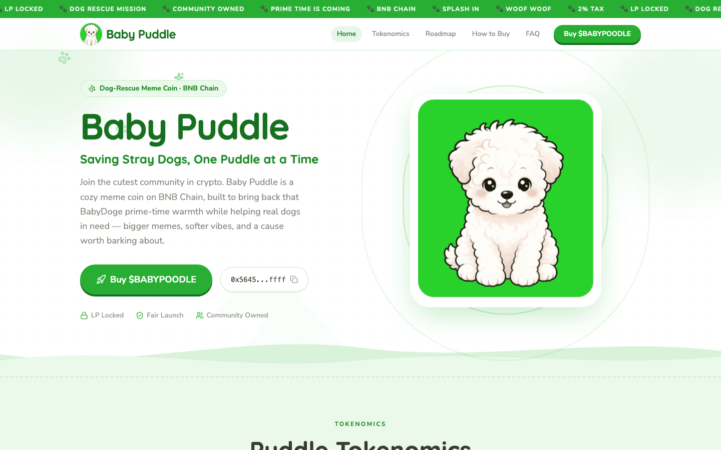 Baby Puddle Coin